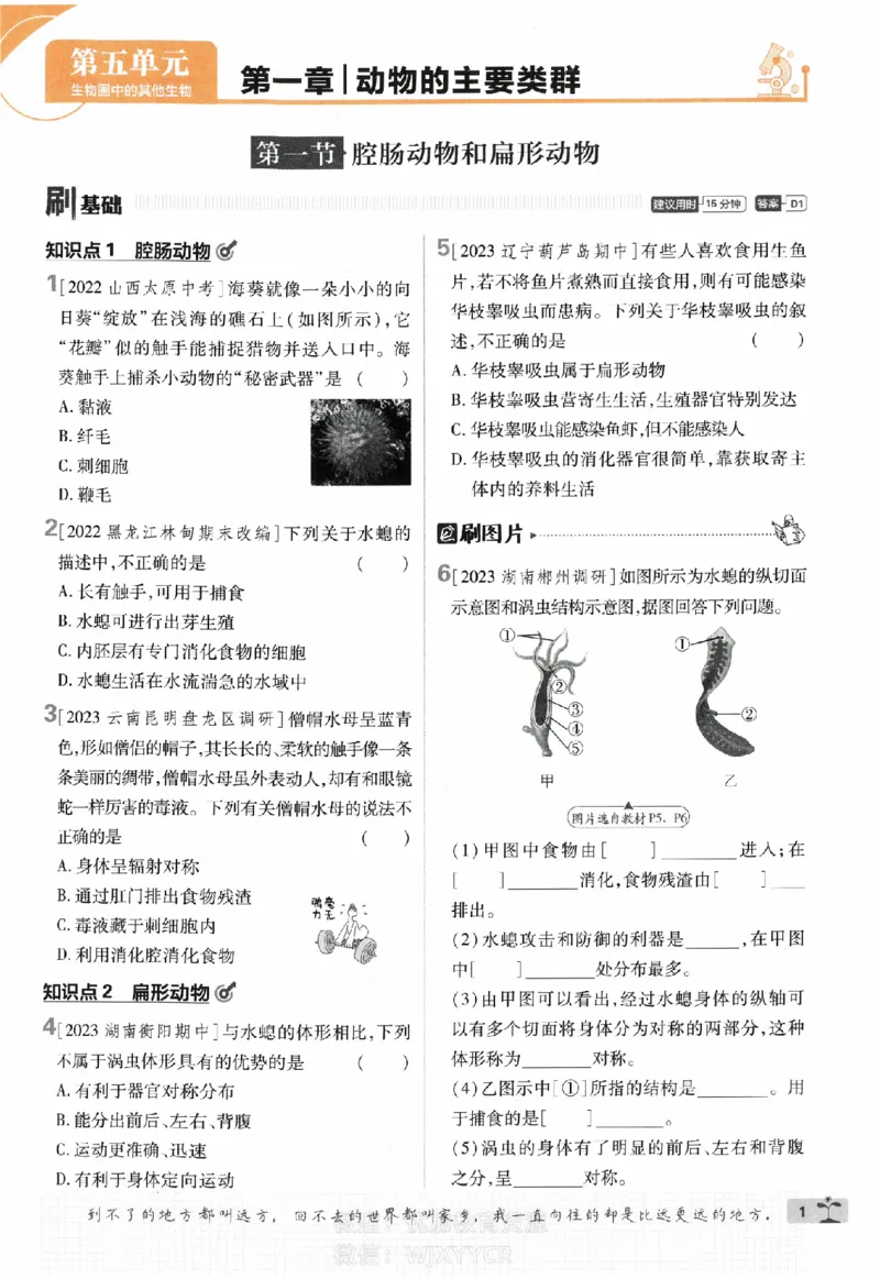 《初中必刷题八年级上册生物人教版_2、2025初中必刷题合集_初中必刷题23+24+25上册_2024版（部分上册）》第4页预览