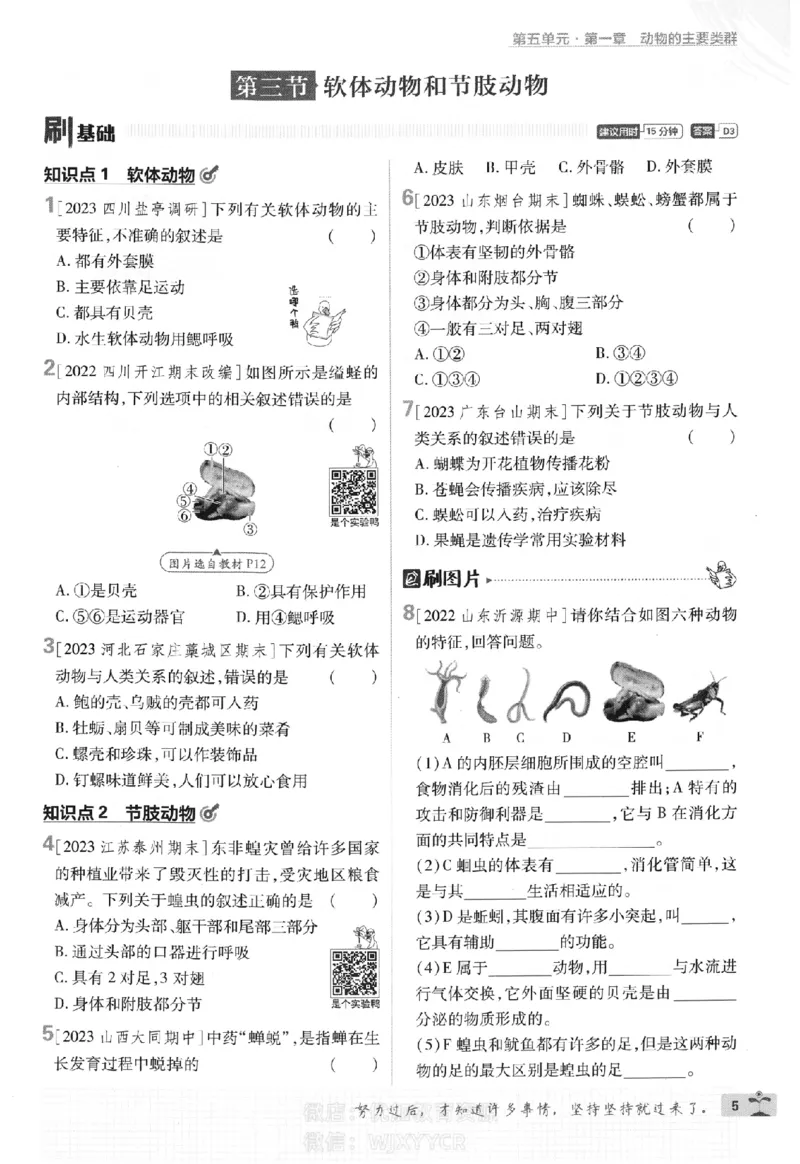 《初中必刷题八年级上册生物人教版_2、2025初中必刷题合集_初中必刷题23+24+25上册_2024版（部分上册）》第8页预览