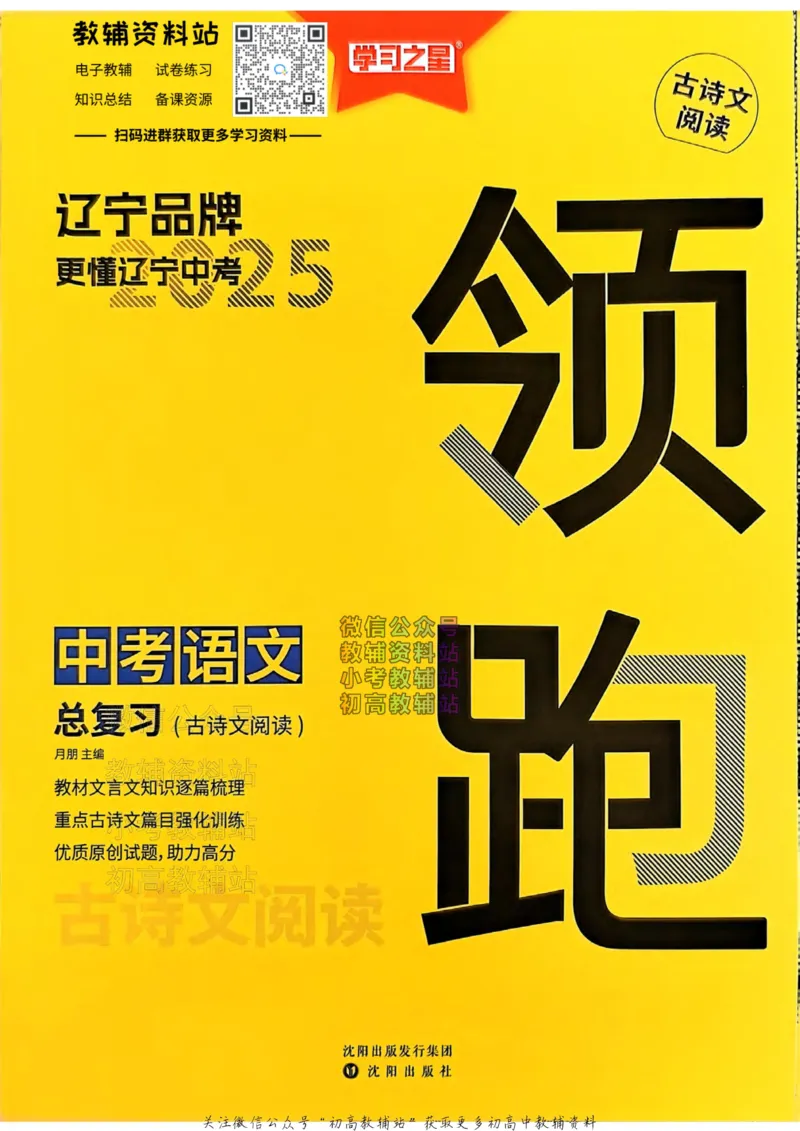 《2025领跑中考总复习语文专题梳理_小初高学习资料合集（每天更新）_学习之星领跑中考（辽宁）》第1页预览