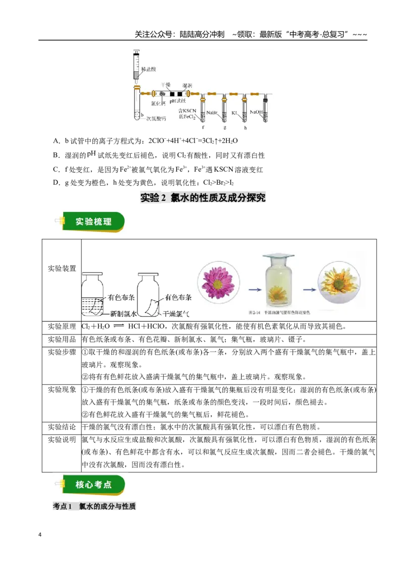 《专题04非金属及其化合物（一）（学生版）_05-化学-高考总复习_一轮复习_2026年-化学高考一轮复习_2026年高考化学一轮复习讲义+练习+课件（新教材新高考）-G55_2026版》第4页预览