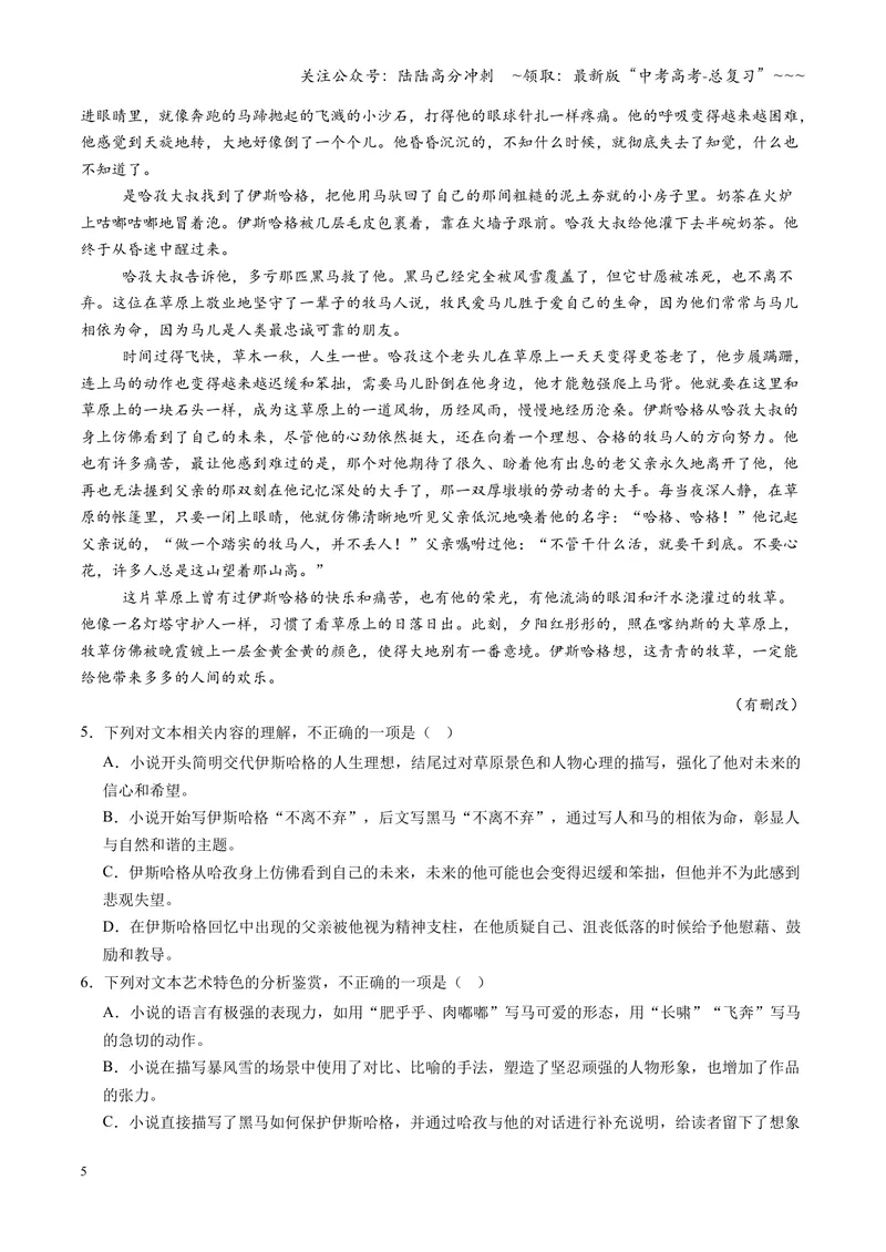 《专项训练02文学类文本小说阅读（全国通用）（教师版）_一轮复习_2026年-语文一轮复习_2026年高考语文一轮复习考点精讲精练（新高考通用）-G58_2026版》第5页预览