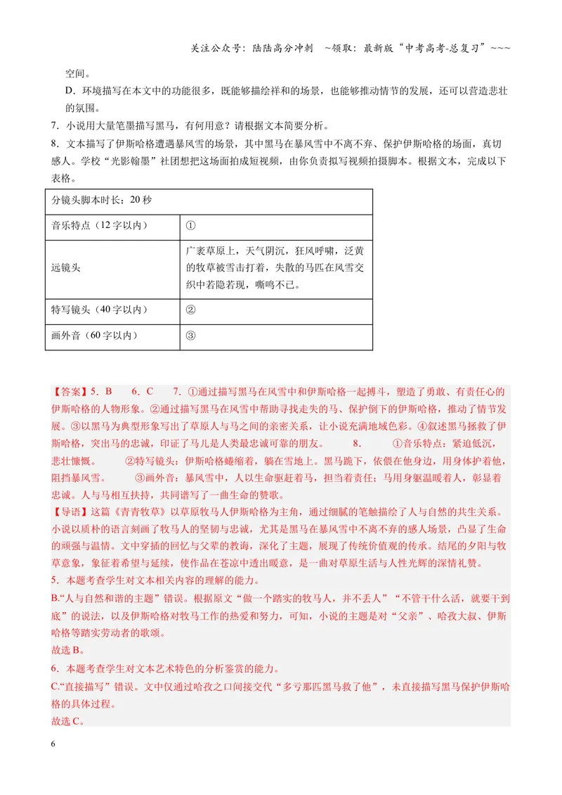 《专项训练02文学类文本小说阅读（全国通用）（教师版）_一轮复习_2026年-语文一轮复习_2026年高考语文一轮复习考点精讲精练（新高考通用）-G58_2026版》第6页预览