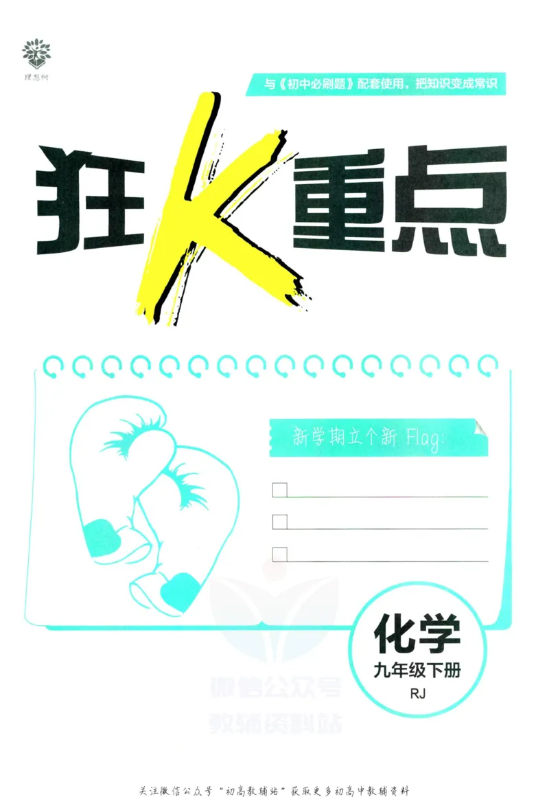 《初中必刷题九年级下册化学人教版狂K重点_2、2025初中必刷题合集_初中必刷题23+24+25上册_2023版》第3页预览