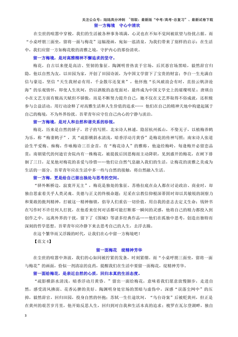 《专题02优秀范文集锦（05）（教师版）——_一轮复习_2024年_2024新高考语文一轮复习考点解析课件教案学案练习题_资料_2025版_作文》第3页预览