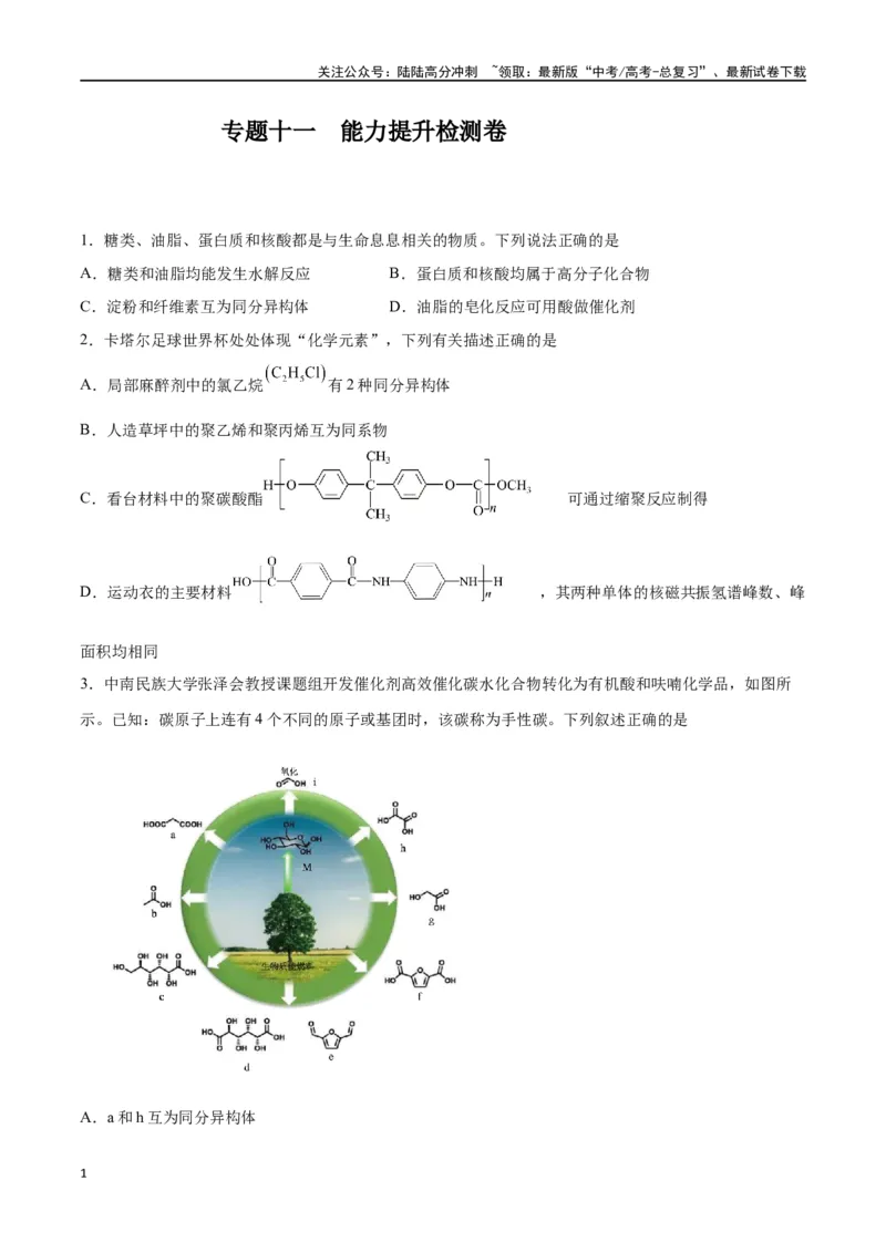 《专题十一有机化学基础（能力提升检测卷）-（原卷版）_05-化学-高考总复习_一轮复习_2024年_2024年高考化学大一轮复习精讲精练+专题讲座_资料》第1页预览
