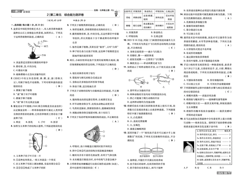 《2025七上生物RJ《一遍过》试卷_初中各科各版本一遍过7-9年级上册_一遍过初中生物》第3页预览