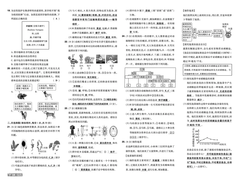 《2025七上生物RJ《一遍过》试卷_初中各科各版本一遍过7-9年级上册_一遍过初中生物》第4页预览