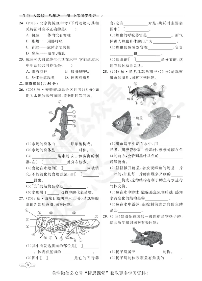 《七彩课堂八年级上册生物人教版同步测评_初中789年级全科目《七彩课堂》各版本_初中生物_同步测评》第10页预览