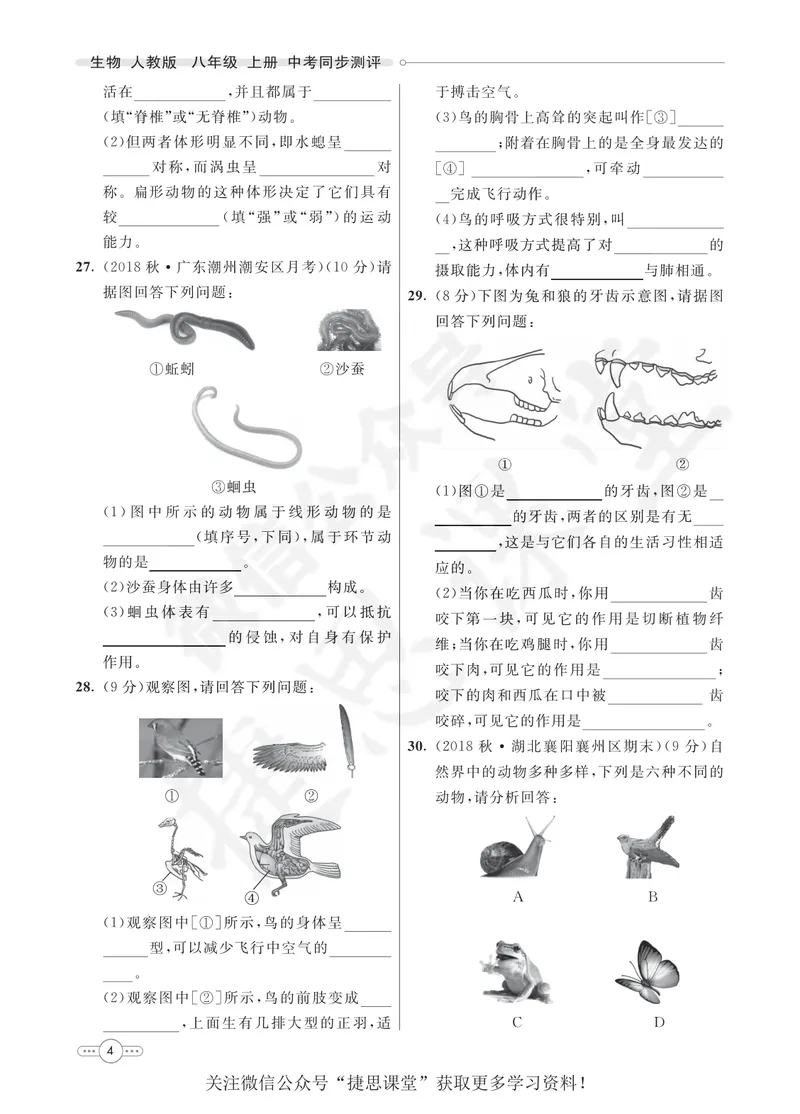 《七彩课堂八年级上册生物人教版同步测评_初中789年级全科目《七彩课堂》各版本_初中生物_同步测评》第6页预览