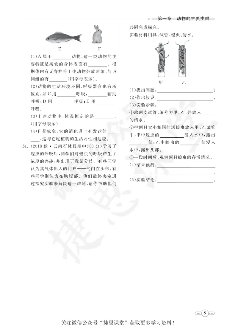 《七彩课堂八年级上册生物人教版同步测评_初中789年级全科目《七彩课堂》各版本_初中生物_同步测评》第7页预览