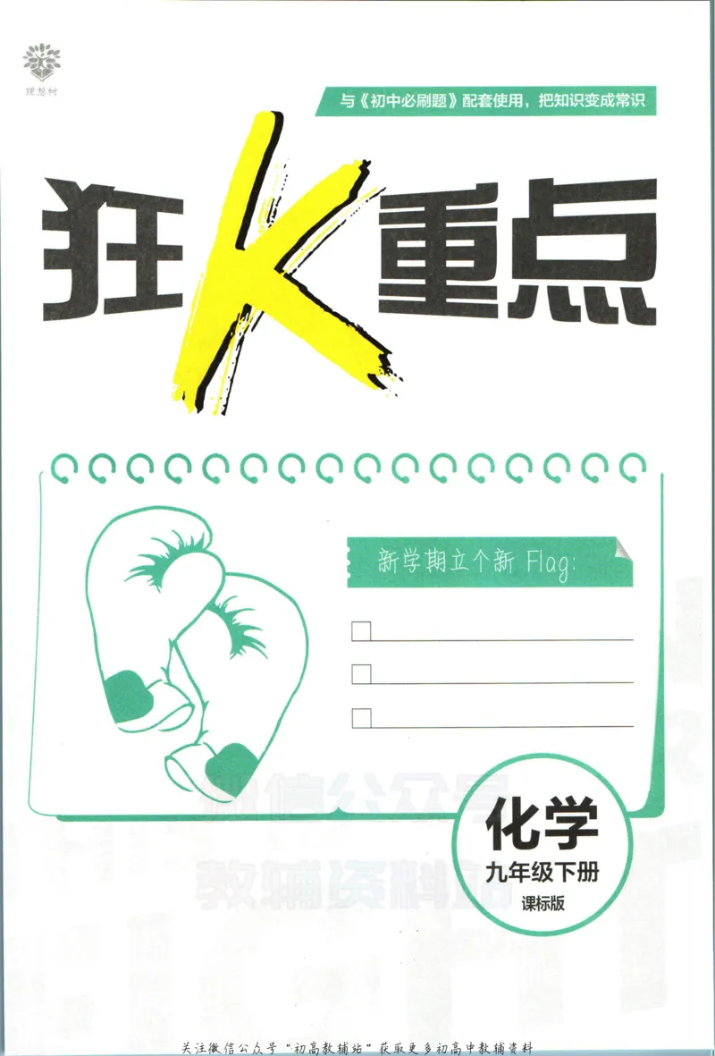 《初中必刷题九年级下册化学鲁教版狂k重点_2、2025初中必刷题合集_初中必刷题23+24+25上册_2023版》第3页预览