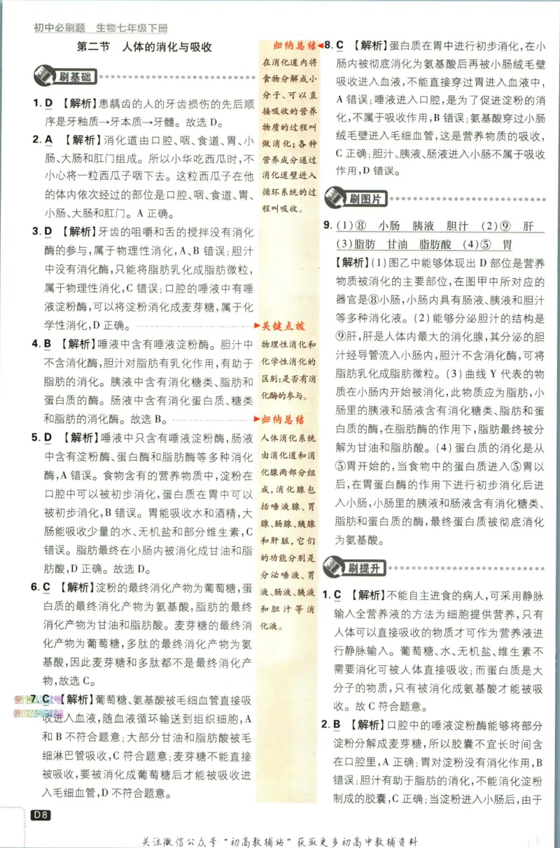 《初中必刷题七年级下册生物苏教版答案_2、2025初中必刷题合集_初中必刷题23+24+25上册_2023版》第10页预览