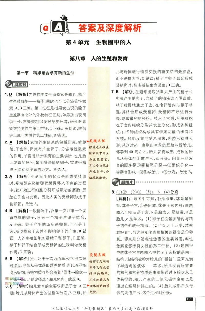 《初中必刷题七年级下册生物苏教版答案_2、2025初中必刷题合集_初中必刷题23+24+25上册_2023版》第3页预览