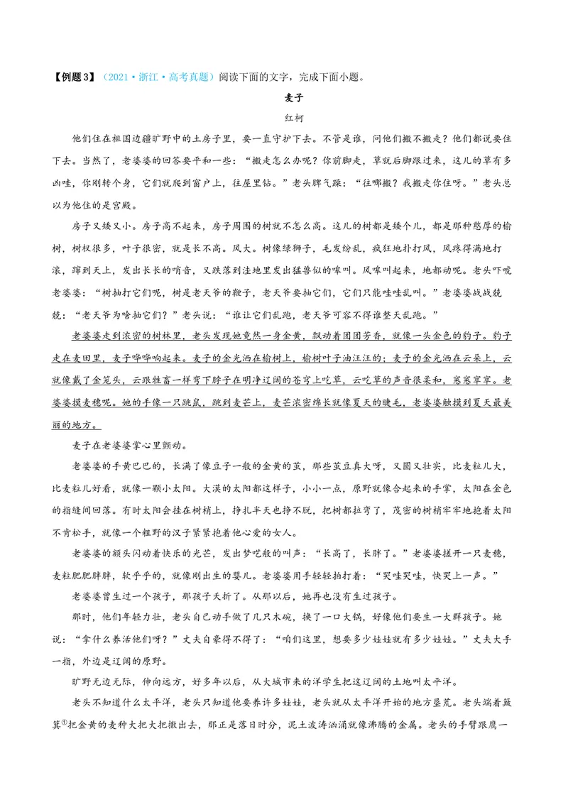 《专题04小说阅读之语言（讲义）（全国通用）（教师版）(1)_二轮复习_2026年-语文二轮复习_22026年高考语文二轮复习现代文阅读（全国通用）》第10页预览