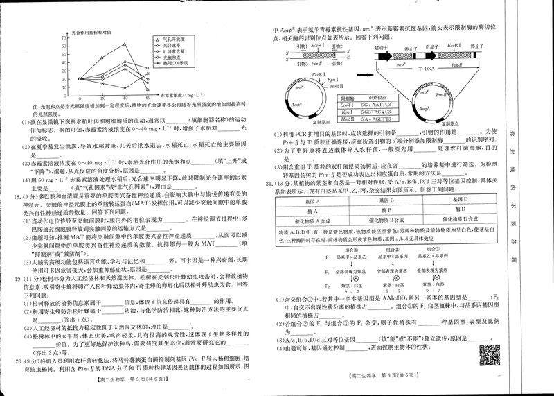 《河南新乡2024-2025学年下学期高二生物试卷（期末考试）_2025年07月试卷_250707河南省新乡2025年高二7月期末考试（金太阳25-57B）（全科）》第2页预览