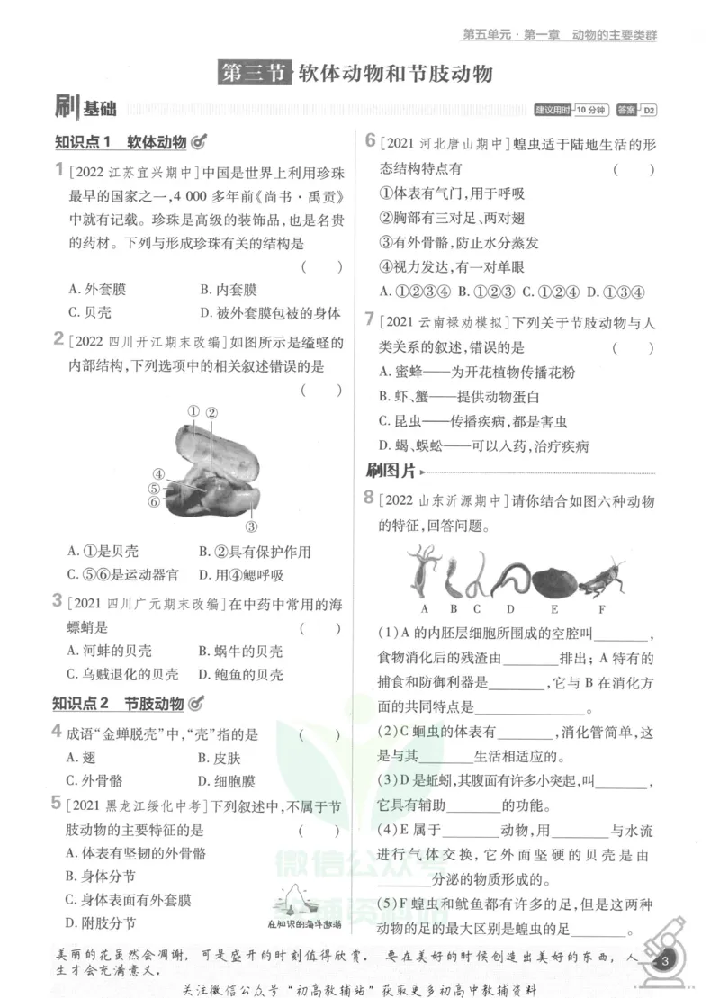《初中必刷题八年级上册生物人教版_2、2025初中必刷题合集_初中必刷题23+24+25上册_2023版》第9页预览
