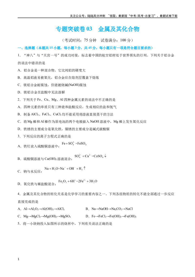 《专题突破卷03 金属及其化合物（原卷版）_05-化学-高考总复习_一轮复习_2024年_2024年高考化学一轮复习考点通关卷（新高考通用）_专题突破卷》第1页预览