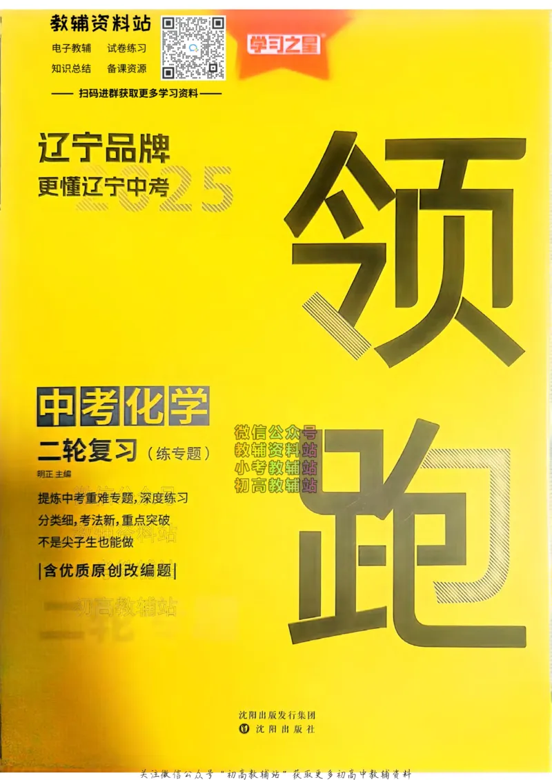 《2025领跑化学二轮（练专题）_小初高学习资料合集（每天更新）_学习之星领跑中考（辽宁）》第1页预览