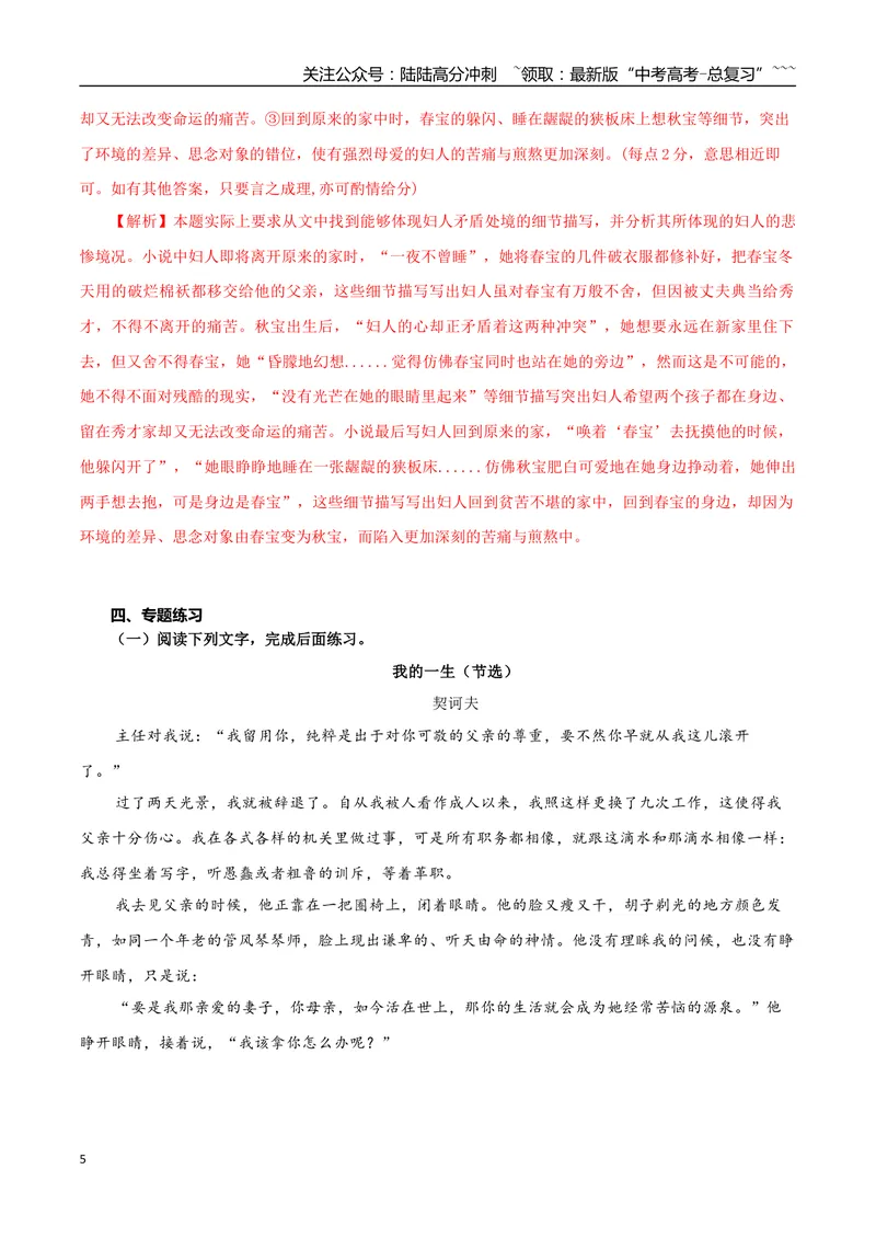 《专题05批判现实小说（教师版）-18页_专项复习_2026年-语文专项复习_2026年高考语文复习阅读与写作教考衔接微专题（全国通用）-G379_资料》第5页预览