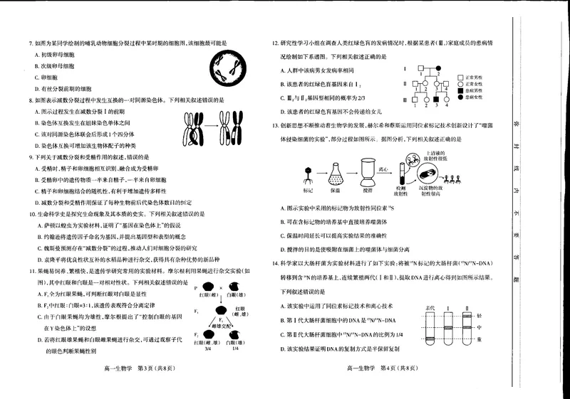 《山西省太原市2024-2025学年高一下学期期中考试生物PDF版含答案_2024-2027高一（7-7月题库）(1)_2025年05月试卷_0507山西省太原市2024-2025学年高一下学期期中考试》第2页预览