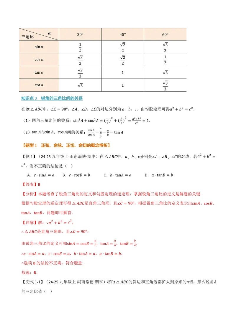 《专题2.1锐角的三角比(讲义)(解析版)_2026语数英7-9年级上《举一反三系列》多版本_2026《初中数学•举一反三系列》9上多版本_2026《初中数学•举一反三系列》9上(沪教)》第2页预览