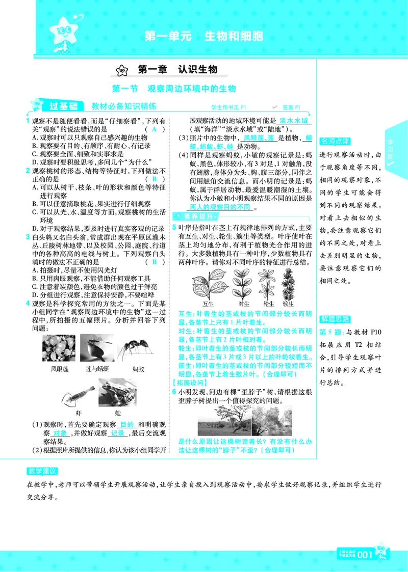《2025七上一遍过RJ《一遍过》练习册教案_初中各科各版本一遍过7-9年级上册_一遍过初中生物》第1页预览