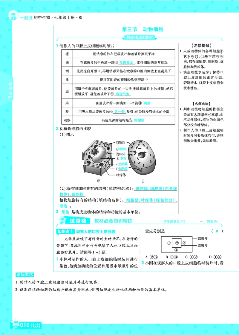 《2025七上一遍过RJ《一遍过》练习册教案_初中各科各版本一遍过7-9年级上册_一遍过初中生物》第10页预览