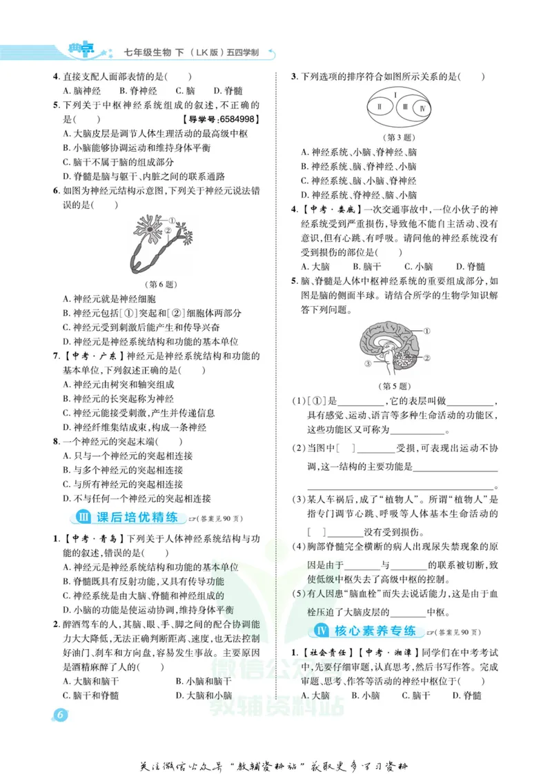《典中点七年级下册生物鲁科版_初中7-9年级上下册《典中点》》第9页预览