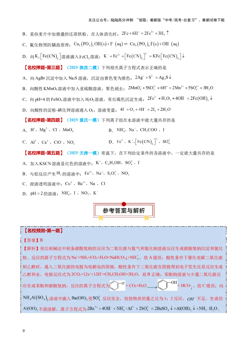 《化学（二）-2025年高考考前20天终极冲刺攻略_05-化学-高考总复习_三轮冲刺》第9页预览