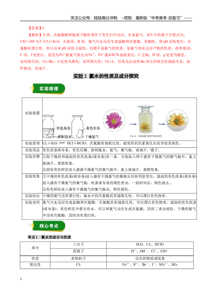 《专题04非金属及其化合物（一）（教师版）_05-化学-高考总复习_一轮复习_2026年-化学高考一轮复习_2026年高考化学一轮复习讲义+练习+课件（新教材新高考）-G55_2026版》第5页预览