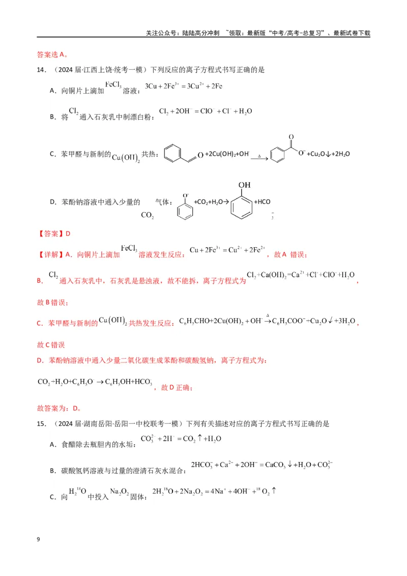《专题04离子反应-解析版）_05-化学-高考总复习_二轮复习_2024年_2024年高考化学二轮专题强化训练习题试题练习全国_资料》第9页预览
