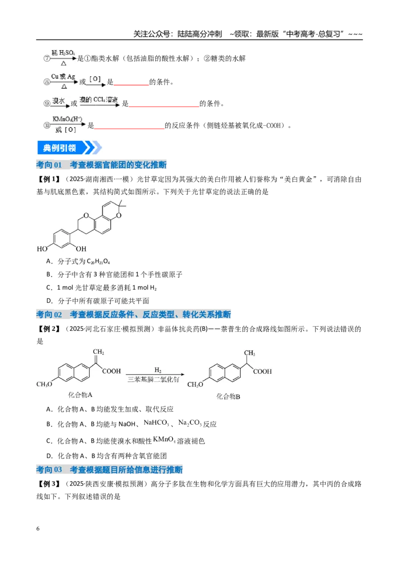 《专题06有机推断（高效培优讲义）（学生版）_05-化学-高考总复习_一轮复习_2026年-化学高考一轮复习_2026年高考化学一轮复习考点精讲精练（新高考通用）-G58_2026版》第6页预览