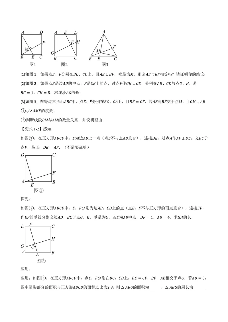 《专题04正方形中的模型、长度关系、路径问题(专项训练)(原卷版)_2026语数英7-9年级上《举一反三系列》多版本_2026《初中数学•举一反三系列》9上多版本》第3页预览
