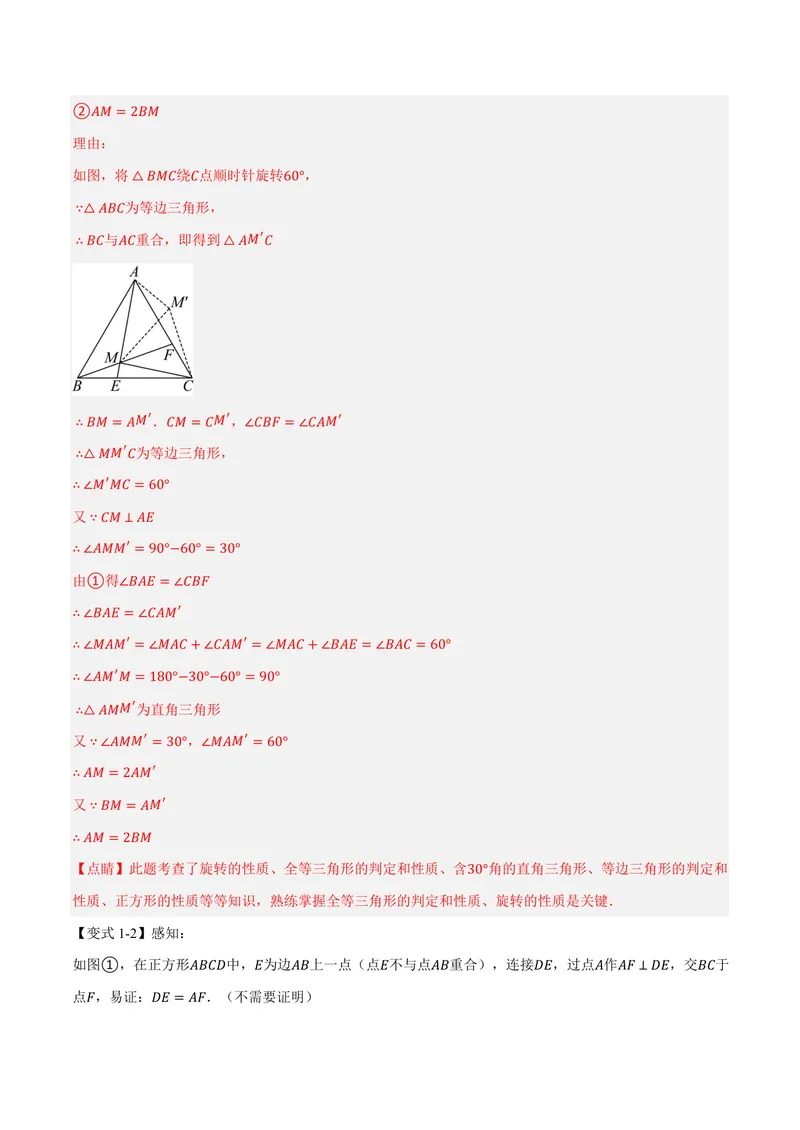 《专题04正方形中的模型、长度关系、路径问题(专项训练)(解析版)_2026语数英7-9年级上《举一反三系列》多版本_2026《初中数学•举一反三系列》9上多版本》第6页预览