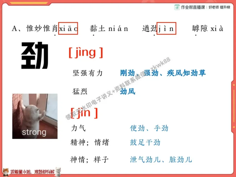 《21.课堂笔记主讲课中笔记_2025初一网课_25初一语文_25初一董俣语文（作业帮）_暑期班A+班_课堂笔记》第6页预览