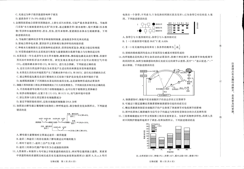 《河南高三2月青桐鸣联考生物卷_2024-2027高三（6-6月题库）_2026年02月高三试卷_260207青桐鸣·普通高中2025-2026学年(上)高三年级期末考试（全科）》第2页预览