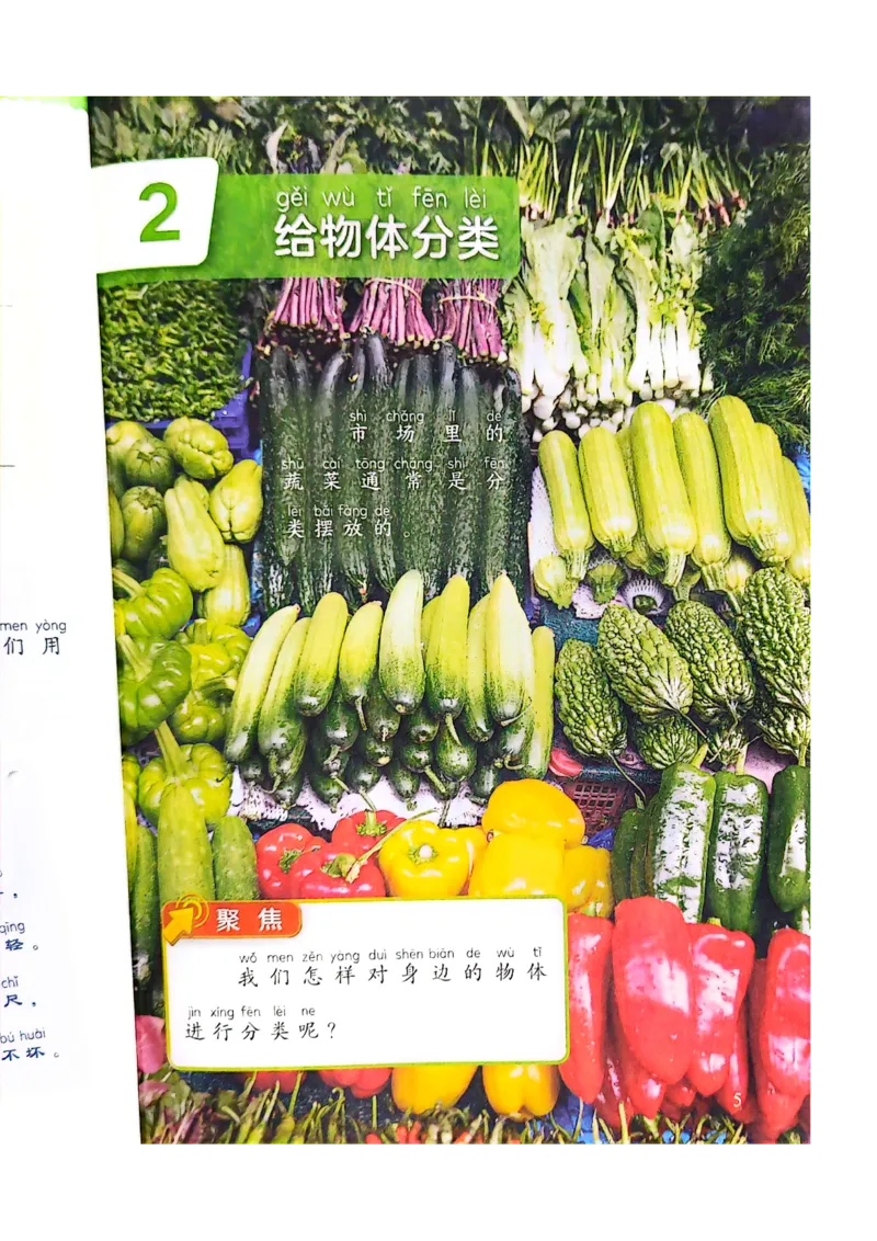 《科学教科版1年级下册（2024秋）_小学1-6年级全科全套_2025更新专题（含教材）_寒假预复习必备资料2024新版小学教材电子版_小学科学_教科版（无水印）》第9页预览