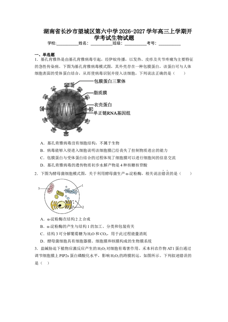 《湖南省长沙市望城区第六中学2026-2027学年高三上学期开学生物试题（含答案）_小初高学习资料合集（每天更新）_湖南省长沙市望城区第六中学2026-2027学年高三上学期开学检测》第1页预览