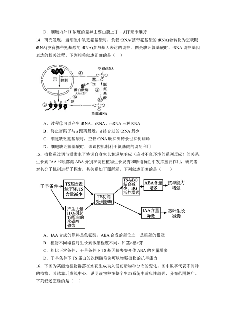 《湖南省长沙市望城区第六中学2026-2027学年高三上学期开学生物试题（含答案）_小初高学习资料合集（每天更新）_湖南省长沙市望城区第六中学2026-2027学年高三上学期开学检测》第6页预览