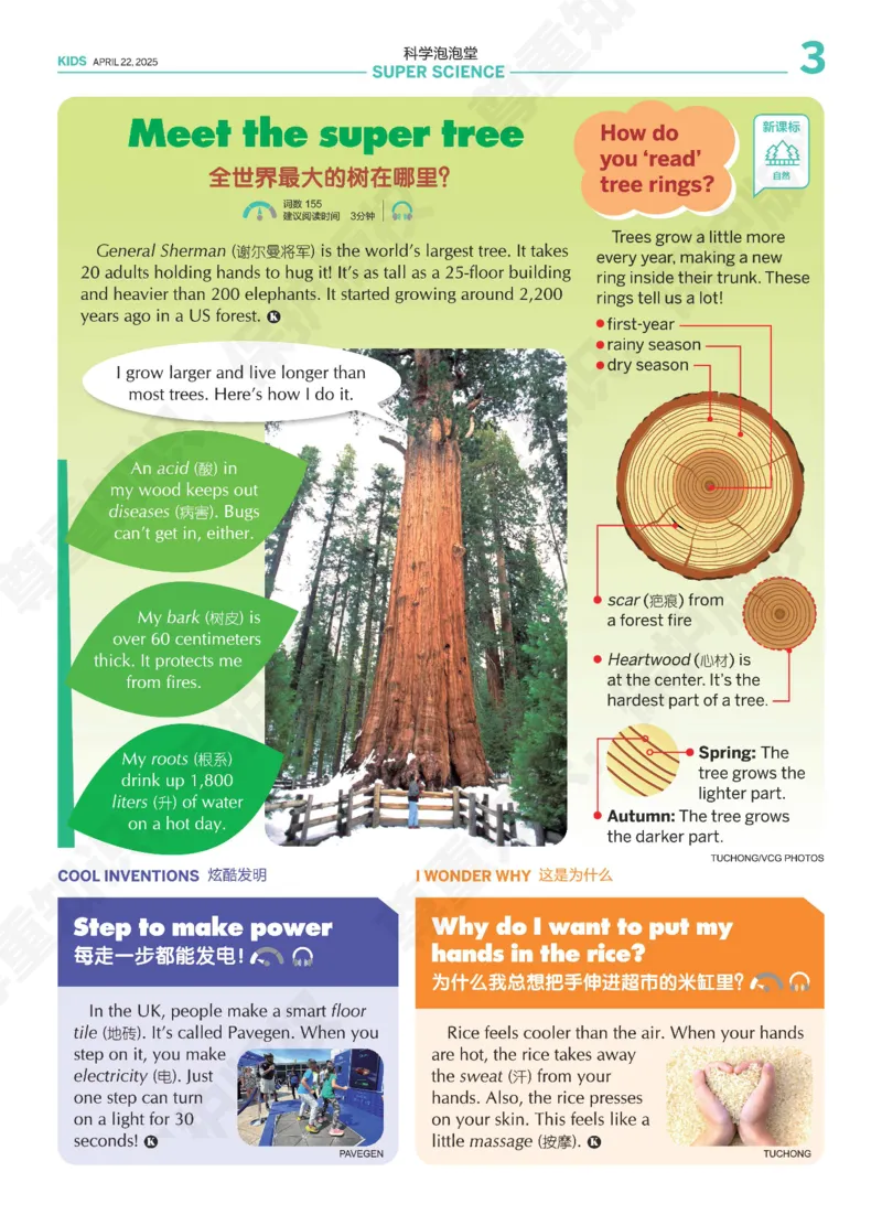 《21世纪报小学版821_小初高学习资料合集（每天更新）_《二十一世纪英文报》2025年1月-12月（小学版）》第3页预览
