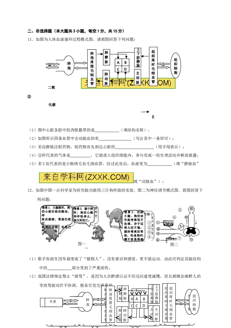 《江西省宜春市2016-2017学年七年级下学期期末考试生物试题_初中全科目同步习题+精品试卷（7-9年级）(1)_25秋初中生物《同步习题+精品试卷》_初中生物试卷（冀少版）_《真题试卷》》第3页预览