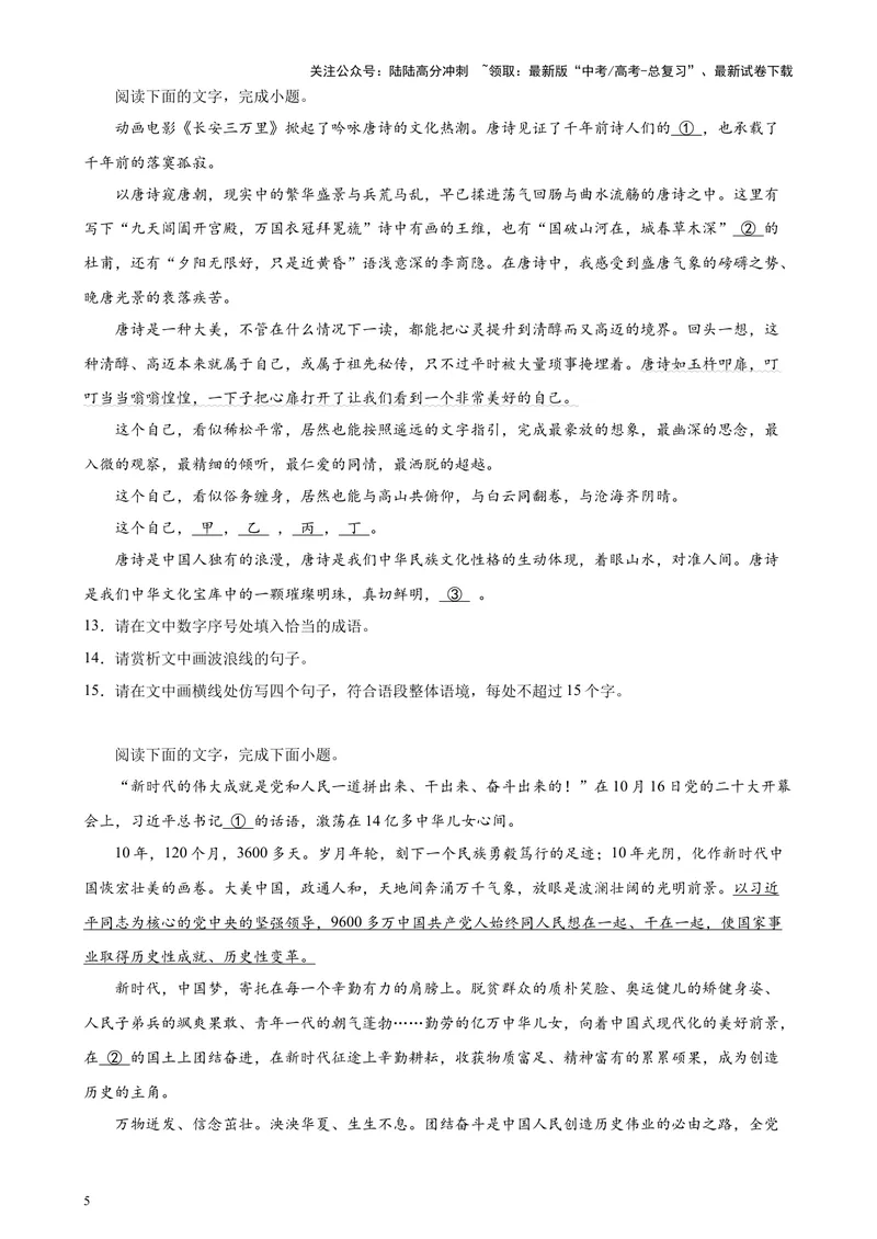 《专题06语言文字运用（新九省百强校100题）（原卷版）-_专项复习_2024年_2024年高考语文重点题型终极预测_资料_1-资料》第5页预览