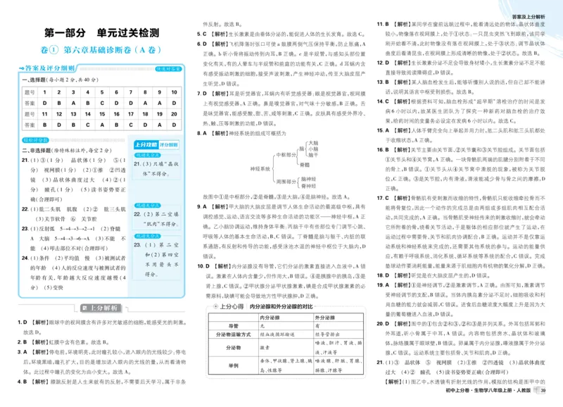 《2026秋初中上分卷生物8年级上册解析册_2026版初中7-9年级上册全科《初中上分卷》含答案，可下载_2026上分卷初中生物上册78（人教）》第3页预览