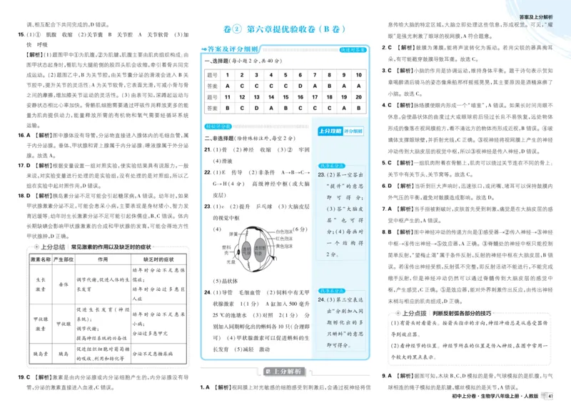 《2026秋初中上分卷生物8年级上册解析册_2026版初中7-9年级上册全科《初中上分卷》含答案，可下载_2026上分卷初中生物上册78（人教）》第5页预览