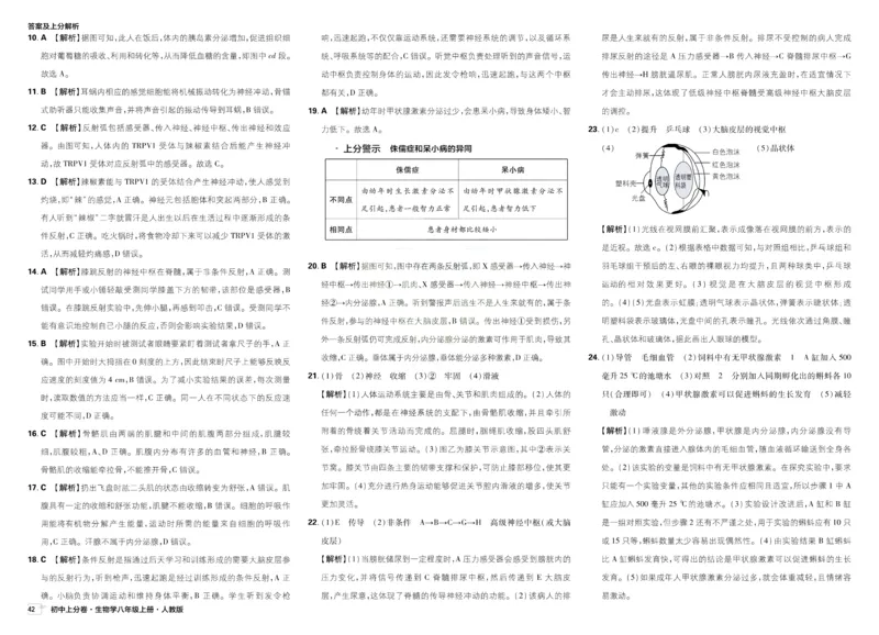 《2026秋初中上分卷生物8年级上册解析册_2026版初中7-9年级上册全科《初中上分卷》含答案，可下载_2026上分卷初中生物上册78（人教）》第6页预览