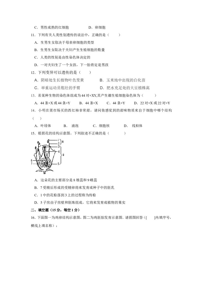 《江西省鄱阳县二中2016-2017学年八年级下学期期中考试生物试卷_初中全科目同步习题+精品试卷（7-9年级）(1)_25秋初中生物《同步习题+精品试卷》_初中生物试卷（冀少版）_《真题试卷》》第2页预览