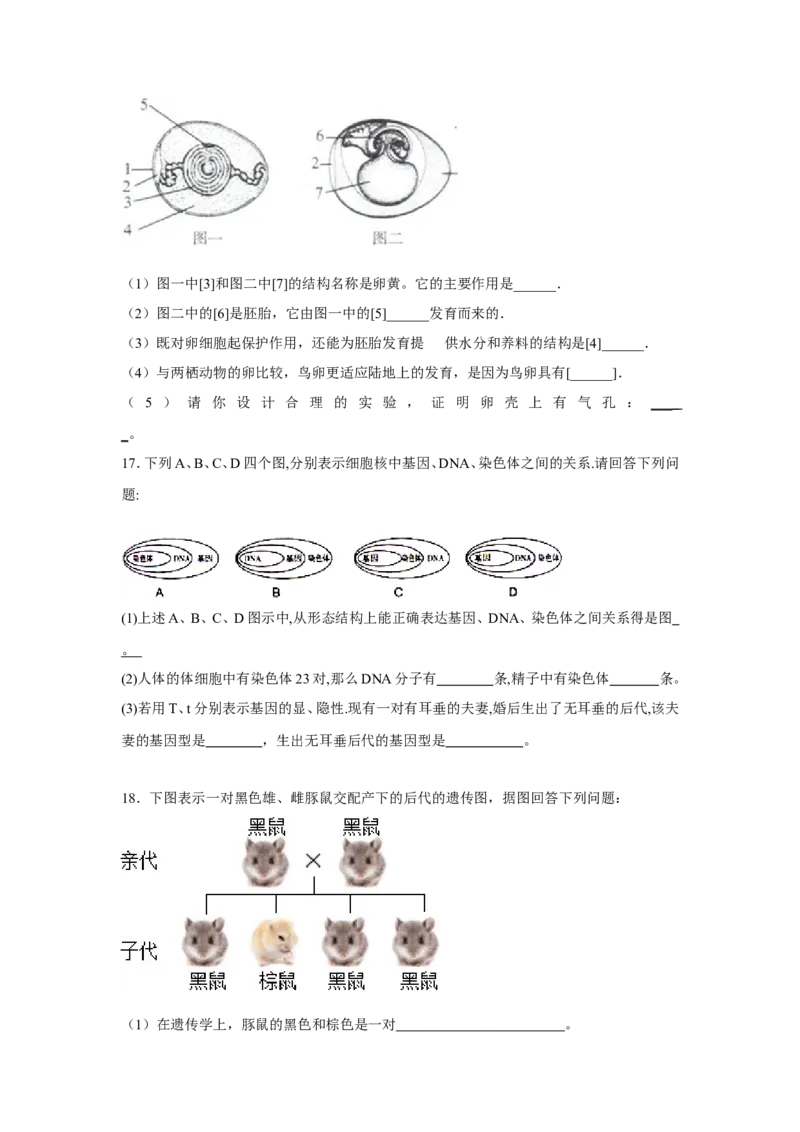 《江西省鄱阳县二中2016-2017学年八年级下学期期中考试生物试卷_初中全科目同步习题+精品试卷（7-9年级）(1)_25秋初中生物《同步习题+精品试卷》_初中生物试卷（冀少版）_《真题试卷》》第3页预览