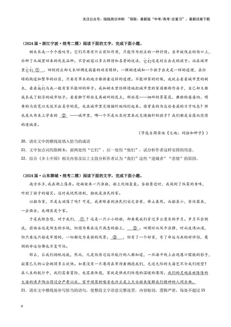 《专题07语言文字运用2（原卷版）（新高考通用）_专项复习_2025年_2024年高考二模试题分类汇编语文新高考通用》第4页预览