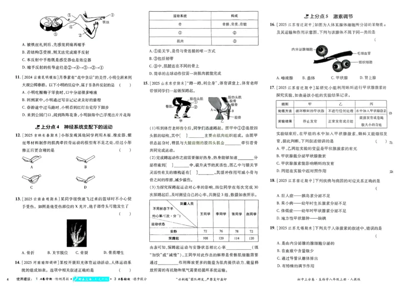 《2026秋初中上分卷生物8年级上册_2026版初中7-9年级上册全科《初中上分卷》含答案，可下载_2026上分卷初中生物上册78（人教）》第6页预览