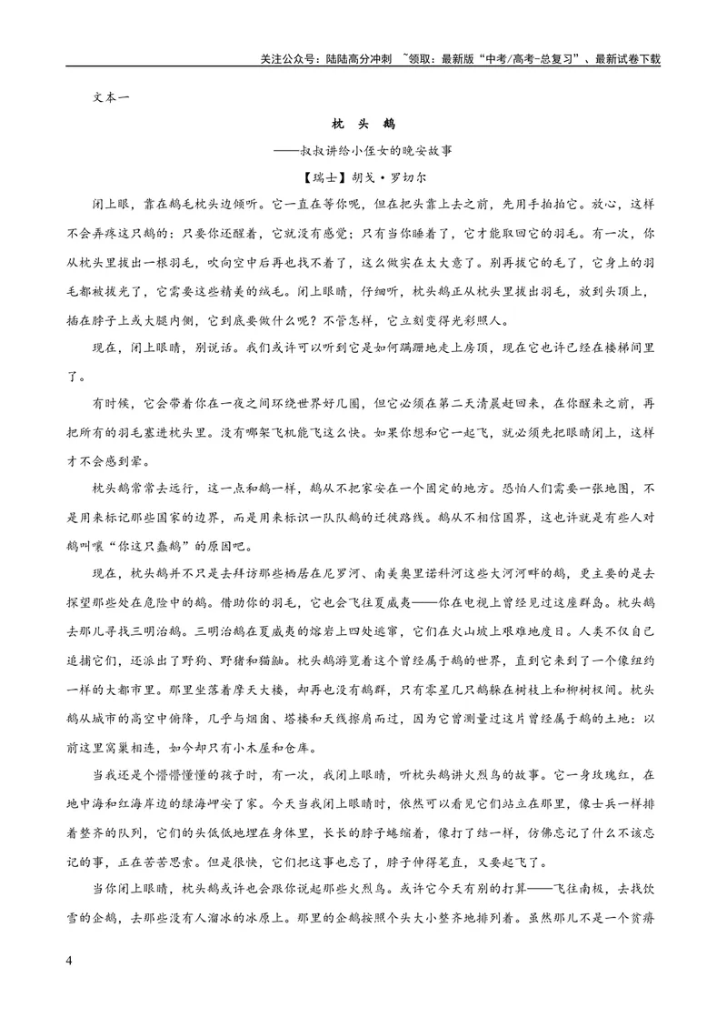 《专题11小说的反套路题型（练习）-2024年高考语文二轮复习讲练测（新教材新高考）(原卷版)_二轮复习_2024年_2024年高考语文二轮复习讲练测（新教材新高考）_配套练习》第4页预览